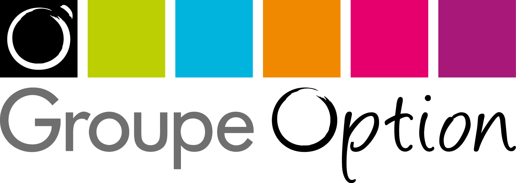 Option-groupe-interim-logo-2017