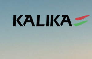 Kalika Voyages #14497