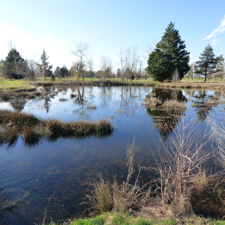 Le Golf Club du Forez obtient le Label Argent FFGolf Biodiversité