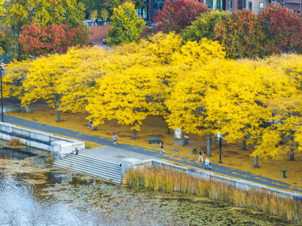 Photo 1 - Boston