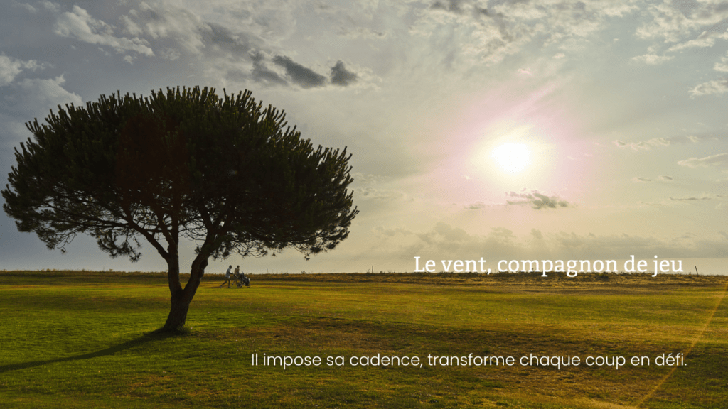 Oléron, entre vent, embruns et golf