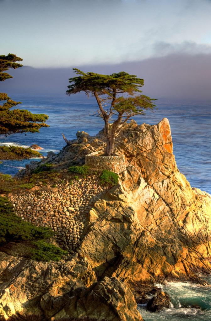 Lone_Cypress-pebble-beach-golf